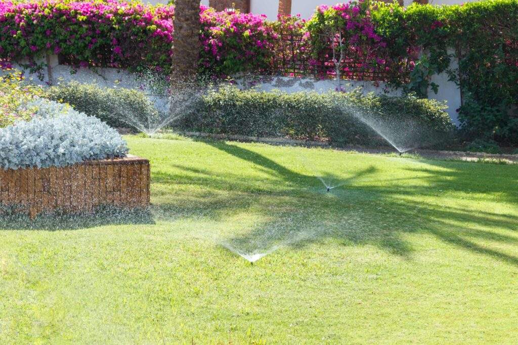 By SNeG17 1 scaled
